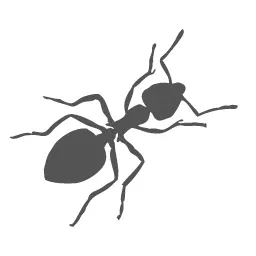 Ants Control - Conway Pest Control