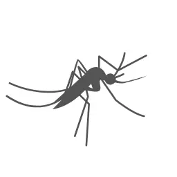 Mosquitoes Control - Conway Pest Control