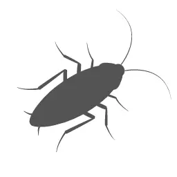 Roaches Control - Conway Pest Control