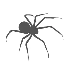 Spiders Control - Conway Pest Control