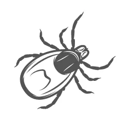 Fleas and Ticks Control - Conway Pest Control