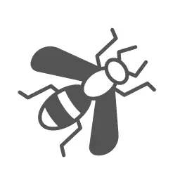 Bee and Wasp Control - Conway Pest Control