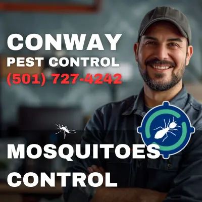 Mosquitoes Control - Conway Pest Control