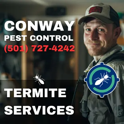 Termite Services - Conway Pest Control